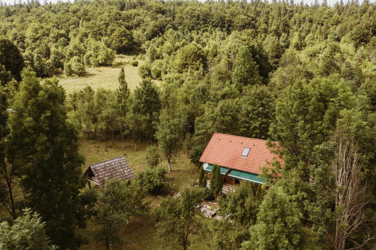 House Poljana Villa พลิตวิชกา เยเซรา ภายนอก รูปภาพ
