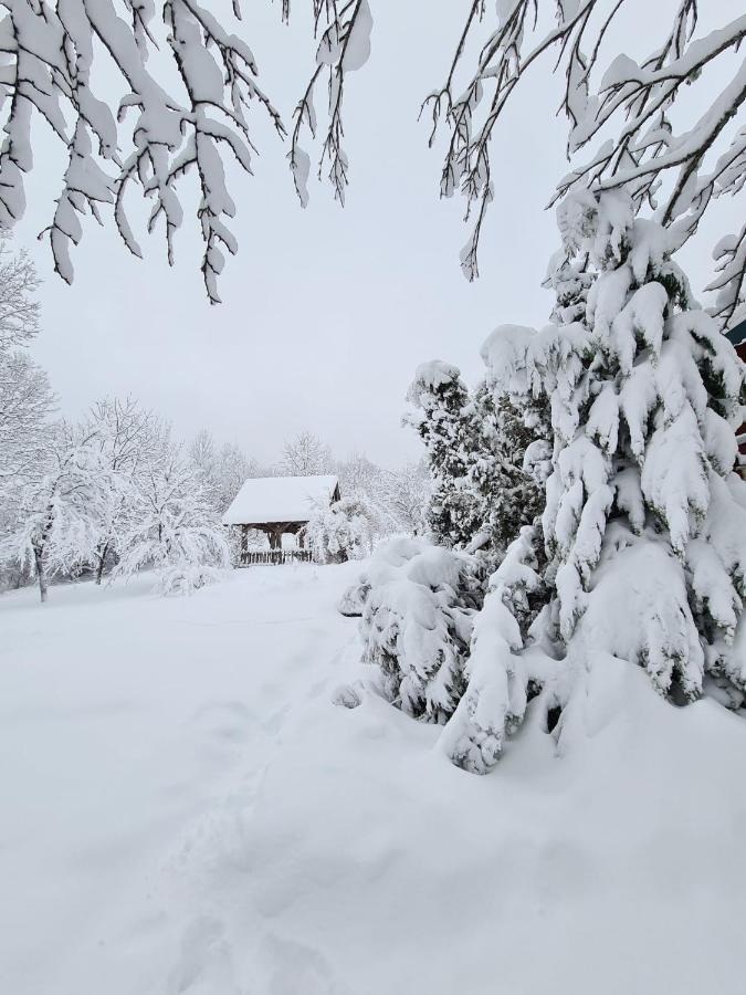 House Poljana Villa พลิตวิชกา เยเซรา ภายนอก รูปภาพ